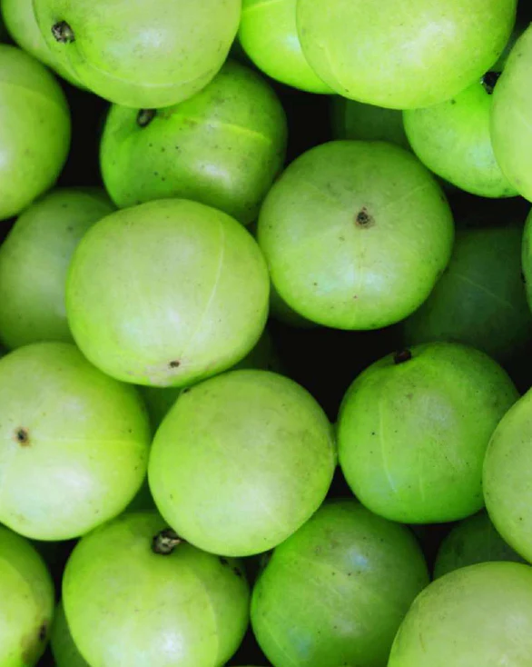 Amla Volume Shampoo Travel Size - Image 3